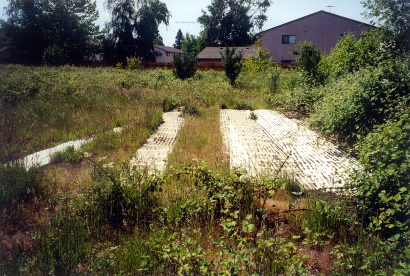 remains of screen 2; south corner
