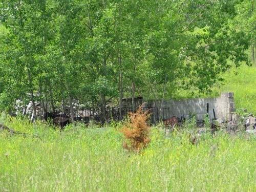 This is all that is that remains of the concession and boothIt is just sad that there was once something there at one time.