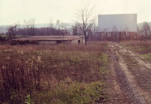 What a beautiful sight