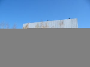 Trees have grown up in front of the screen.