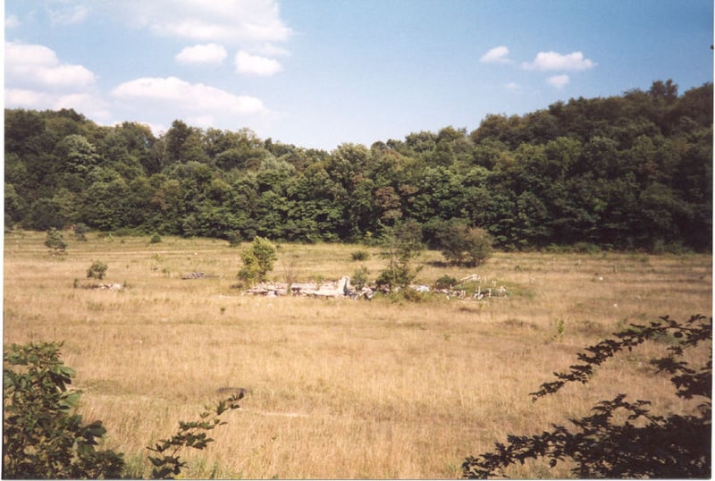 this what is left of the Mapel drive in