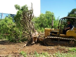 Bruce King, removing trees from in front of screen one.
