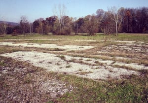 Eastern part of field