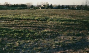 Open field as viewed from under the drive-in screen