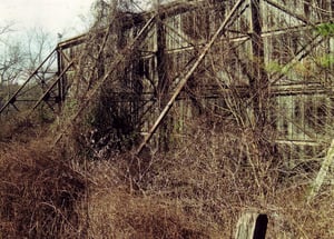 Very overgrown back of the screen tower