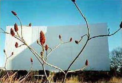 a peek at its screen, from inside the weed-covered lot