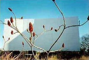 a peek at its screen, from inside the weed-covered lot