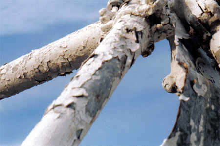 Playground swing set close-up