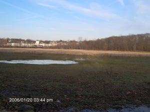 Open space, newly reclaimed by nature following the conversion into a wildlife refuge.