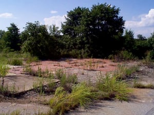 Remains of the projection house