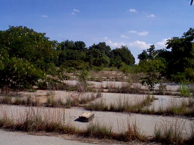 The parking area, now overrun with weeds and trees