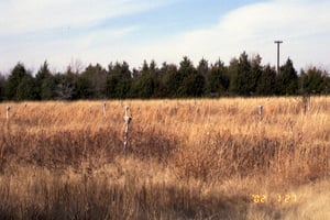 Poles still standing but no speakers.