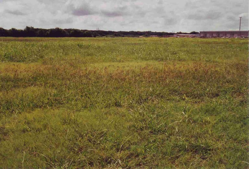 Field
