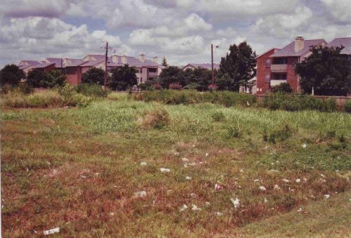 Part of the field and the housing complex where the drive-in once stood
