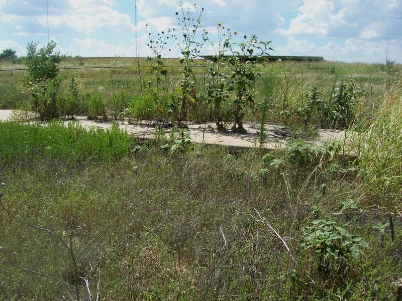 Concrete slab where the screen tower once stood. Concession building in the background