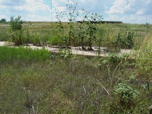 Concrete slab where the screen tower once stood. Concession building in the background