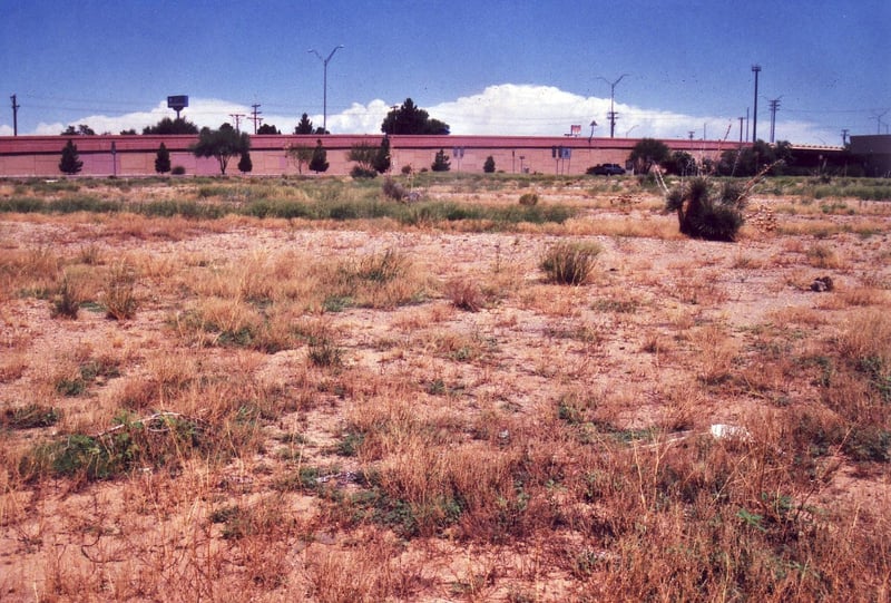 The wall in the background is the highway ramp