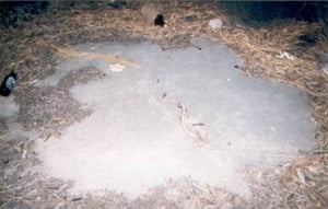slab of cement with wiring where ticket booth stood