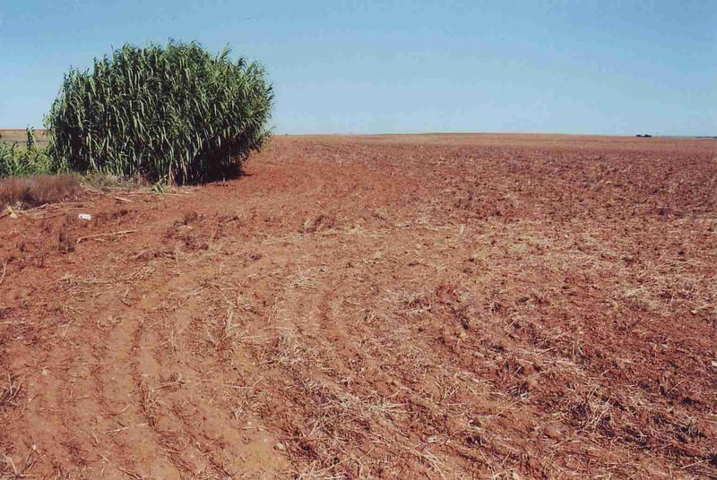 View of the empty lot from CR 10