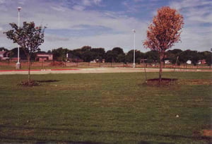 The area behind the school isn't yet completely finished