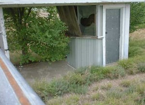 A strategically placed tree prevents cars from entering the drive-in during this dormant period.