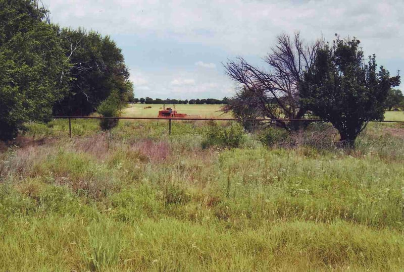 Lot seen from the road.