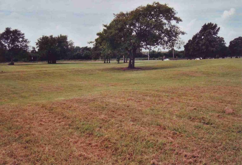 View from the back "downhill" with the ramps still present