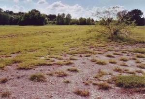 General view of the former drive-in field