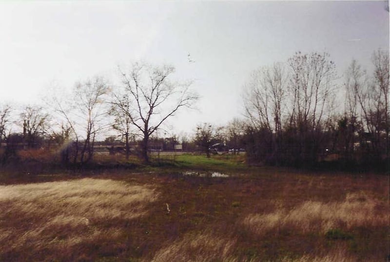 exit. The back of a sign shows up in the center of the picture. A land company is trying to sell the land for development!