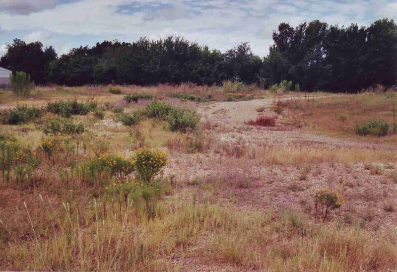 Field with visible ramps