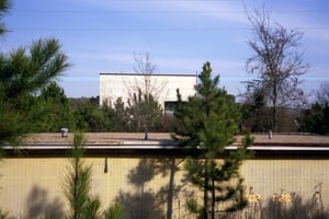 View of screen with mature trees and back side of concession stand.