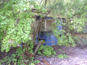 The Ticket Booth now covered in Trees..
randycarlisle@comcast.net