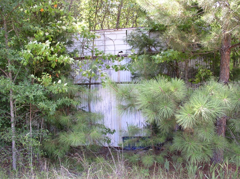 The Marquee hiding in the Trees...