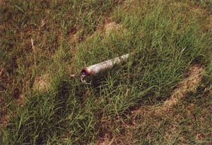 One speaker pole found along the driveway to the ticket booths