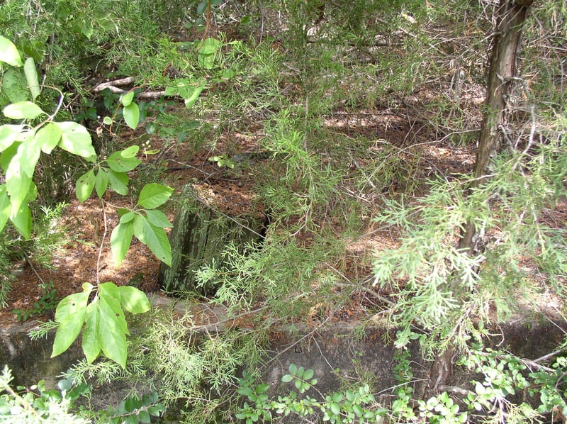 The Foundation and one of the wooden poles of the Screen.