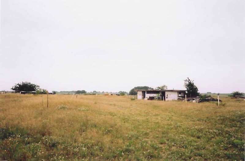 Looking across the lot. There is a house off to the left, outside the picture. Cows are shown grazing in the background towards the center.