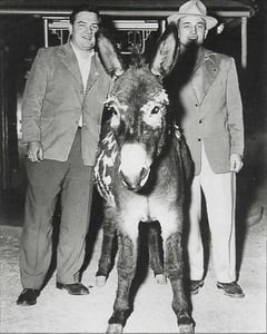 One of Francis the Mule's closest friends was given away as a door prize at the west Texas premiere of "Francis Goes to West Point" at the Sky Vue. Photo is from the book "Drive-In Movie Memories" by Don and Susan Sanders.