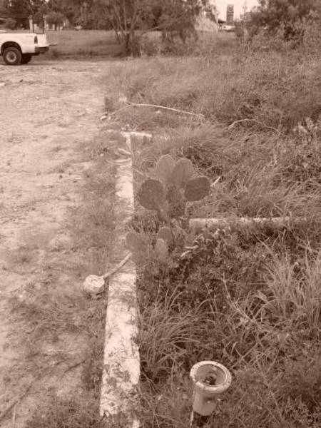 Light Poles @ Old Stardust Drive-In Uvalde TX.