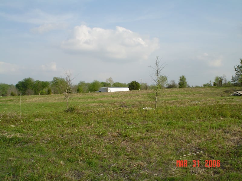 This is looking toward the right back section of the lot.