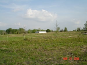 This is looking toward the right back section of the lot.