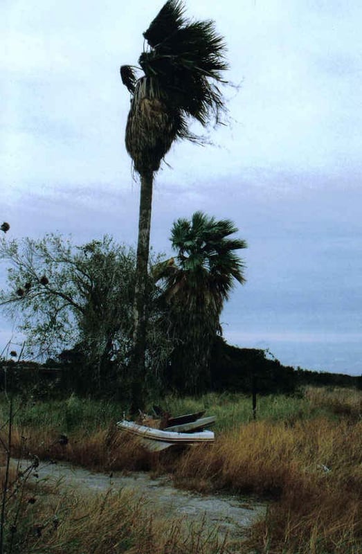 Location of movie screen