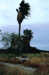 Location of movie screen