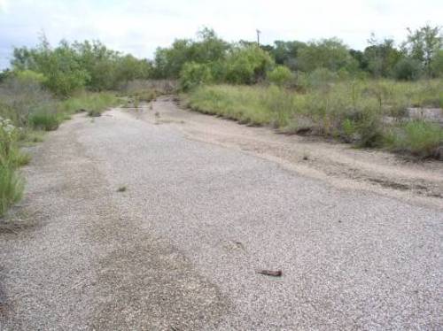 Some of the Field of the Telephone Rd Drive In. Some speaker poles still remain. This was all Black Top parking.