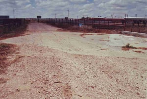 Amidst the cattle farm the concrete platform of the concession/projection building can be seen