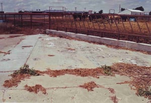 A closer look at the concrete platform where the concession/projection building once stood
