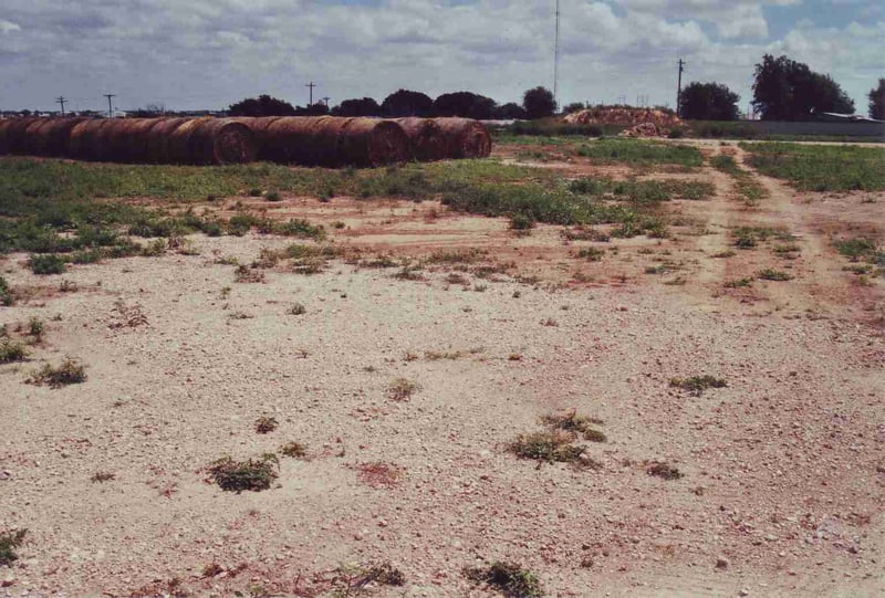 Field used for storage of cattle supply