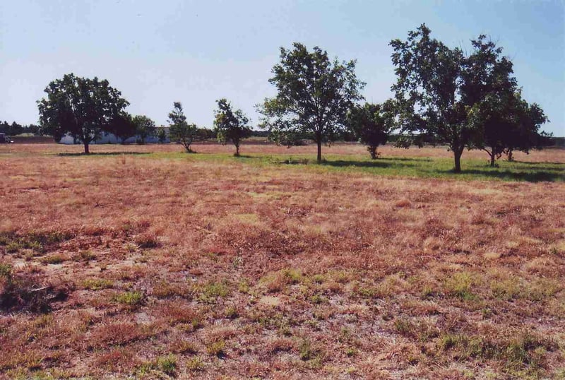 Field from another angle