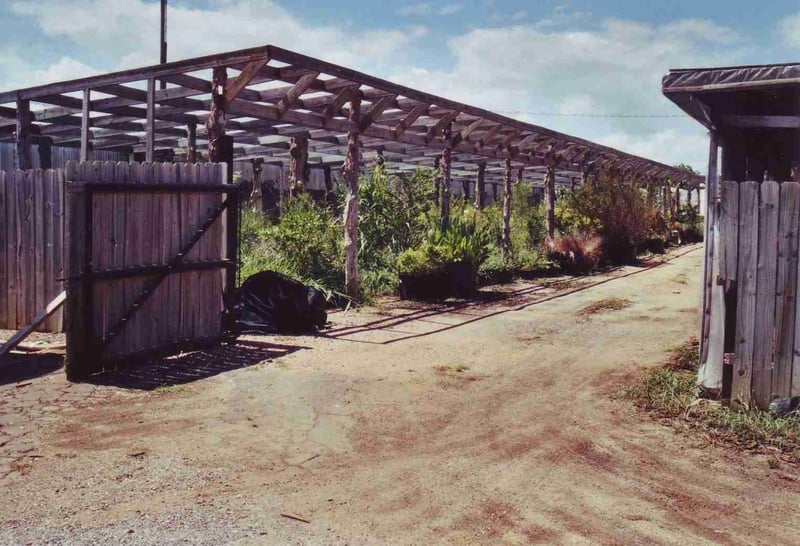 Part of the gardening business occupying the lot