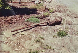 Only evidence of the former drive-in I could find