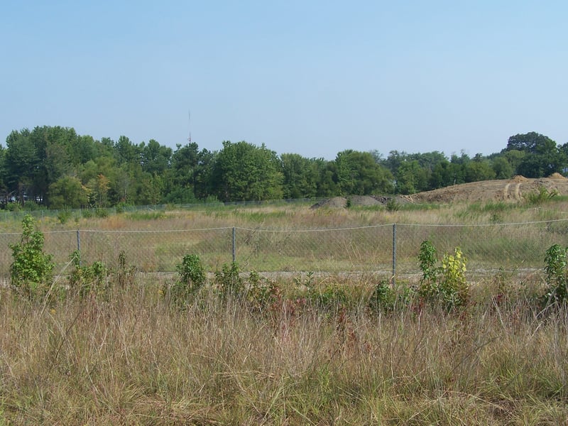 The drive-in field overgrown today.